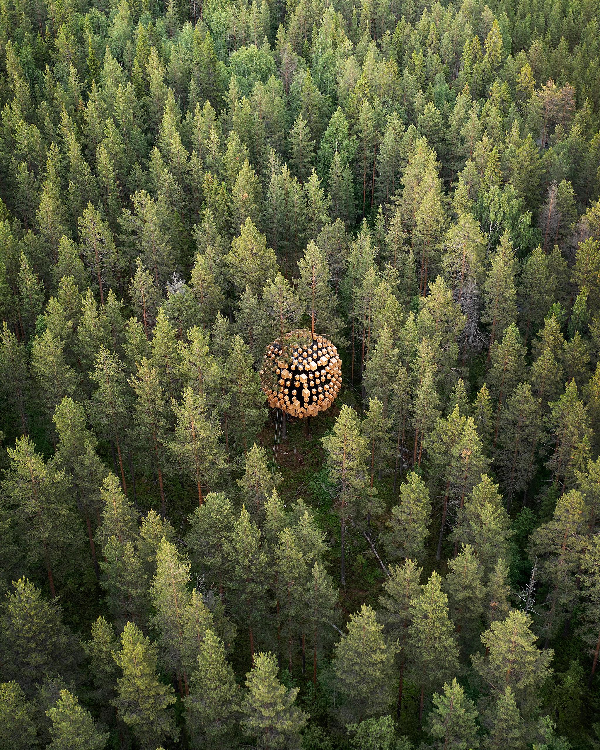 An aerial view of a green forest with a wooden construction visible among the tree tops.