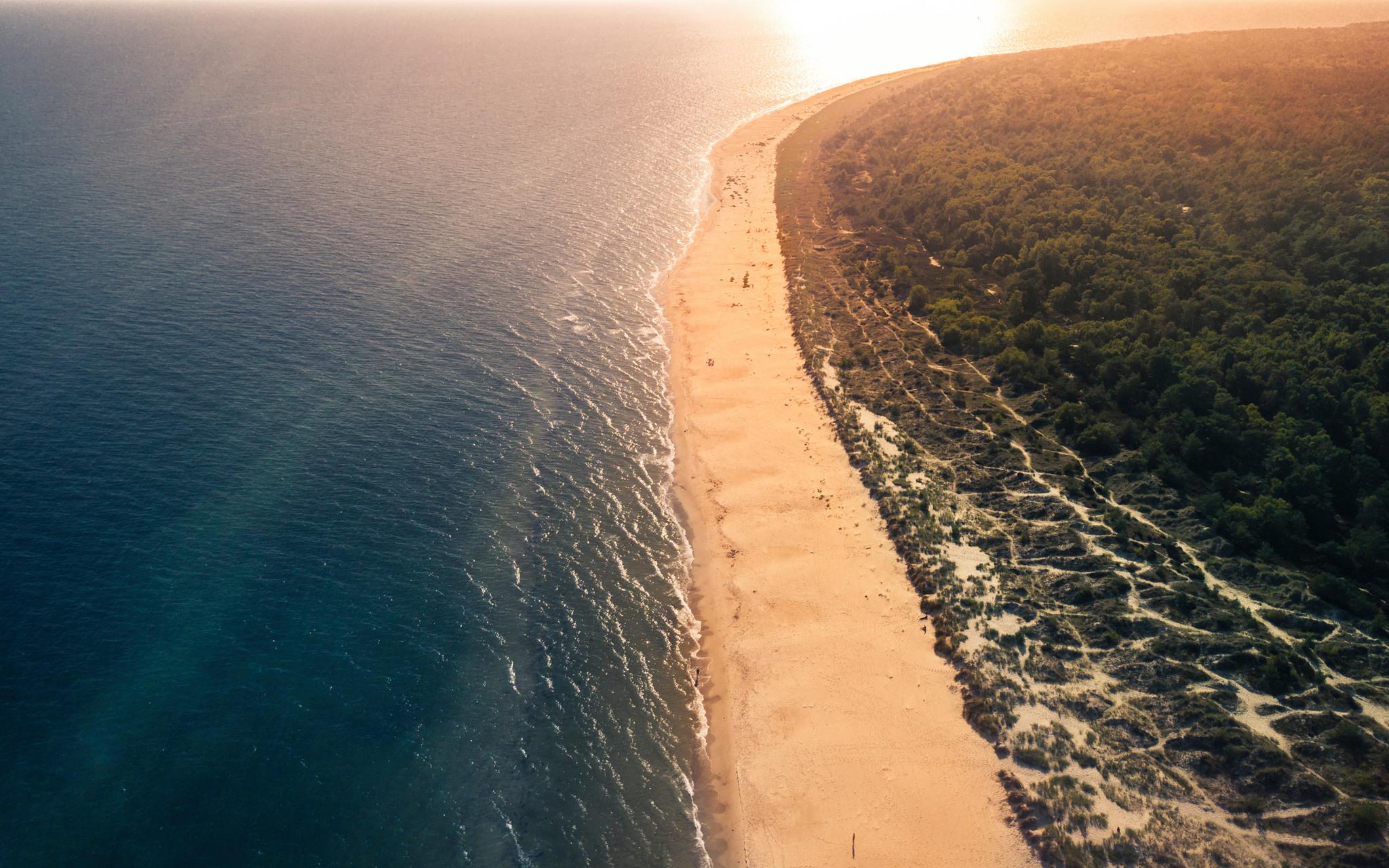 A beach basking in sunlight.