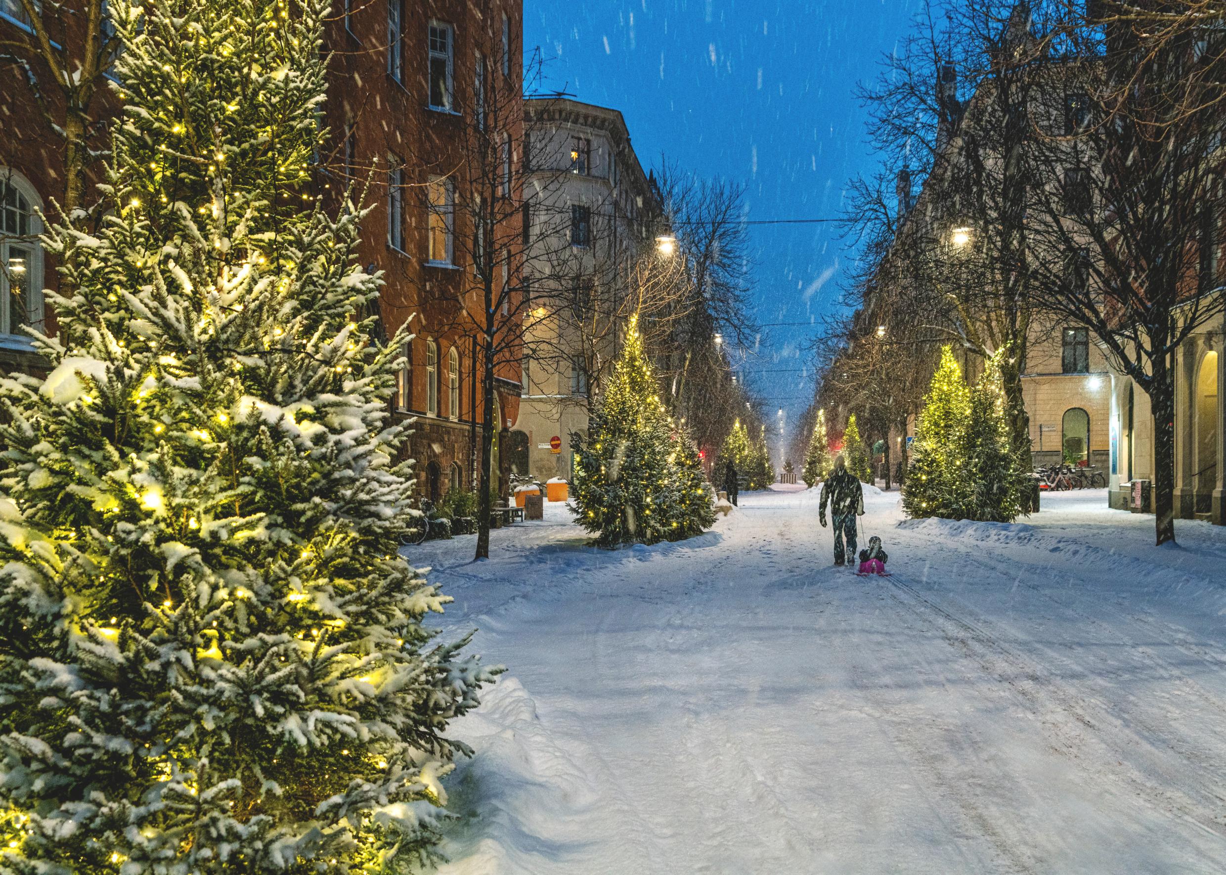A snow-filled city street lined with decorated Christmas trees.